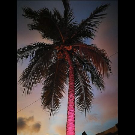 La Palmera Hostel Puerto Escondido  Eksteriør billede